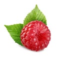 Fresh ripe raspberry with green leaves isolated on white Royalty Free Stock Photo