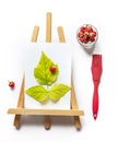 fresh ripe raw raspberries with green leaves isolated over white set on a white paper as a drawing, creative summertime Royalty Free Stock Photo