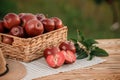 Fresh ripe red apples in the basket on wooden table with natural orchard background. Vegetarian fruit composition. Harvesting Royalty Free Stock Photo