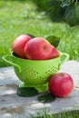 Fresh ripe red apples Royalty Free Stock Photo