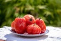 Fresh ripe red beefsteak or coeur de boeuf tomatoes