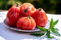 Fresh ripe red beefsteak or coeur de boeuf tomatoes