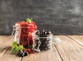 Fresh ripe red black currant berry in various glass jars on a dark background. Horizontal frame. Selective focus. Royalty Free Stock Photo