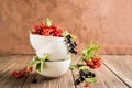 Fresh ripe red black currant berry in white bowls stand in a pile on the table. Horizontal frame. Selective focus. Royalty Free Stock Photo