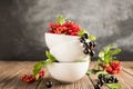 Fresh ripe red black currant berry in white bowls stand in a pile on the table. Horizontal frame. Selective focus. Royalty Free Stock Photo