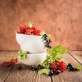 Fresh ripe red black currant berry in white bowls stand in a pile on the table. Selective focus. Square frame Royalty Free Stock Photo