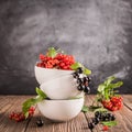 Fresh ripe red black currant berry in white bowls stand in a pile on the table. Selective focus. Square frame Royalty Free Stock Photo