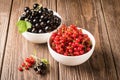 Fresh ripe red black currant berry in white bowls on wooden background. Horizontal frame. Royalty Free Stock Photo