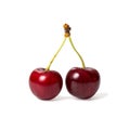 Fresh ripe red cherry berries Royalty Free Stock Photo