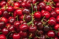 Fresh ripe red cherry or cherries fruit in a wooden box