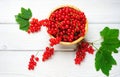 Fresh ripe red currant berries Ribes rubrum with leaves in bowl on white wooden table. Royalty Free Stock Photo