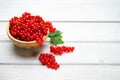 Fresh ripe red currant berries Ribes rubrum with leaves in bowl on white wooden table. Royalty Free Stock Photo