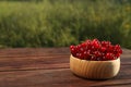 Fresh ripe red currant in bowl on wooden table outdoors. Space for text Royalty Free Stock Photo