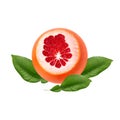 Fresh ripe red grapefruit with green leaves. Red sliced citrus isolated. Royalty Free Stock Photo