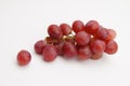 Fresh and ripe red grapes isolated in white background. Bunch of raw and juicy grapevines Royalty Free Stock Photo