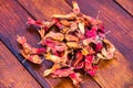 Fresh ripe red hazelnuts on wooden table Royalty Free Stock Photo