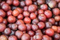 Fresh ripe red plums as a background Royalty Free Stock Photo