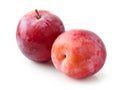 Fresh ripe red plums Royalty Free Stock Photo