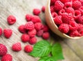 Fresh ripe red raspberries with leaves in a bowl on rustic old wooden table. Healthy organic food, summer vitamins, BIO viands Royalty Free Stock Photo