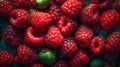 Fresh ripe red raspberries with water drops, closeup, macro, food background. Royalty Free Stock Photo