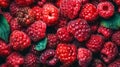 Fresh ripe red raspberries with water drops, closeup, macro, food background. Royalty Free Stock Photo