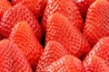 Fresh ripe red strawberries closeup Royalty Free Stock Photo