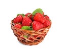 Fresh ripe red strawberries in wicker basket isolated Royalty Free Stock Photo