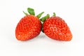 Fresh ripe red strawberry, healthy fruit Royalty Free Stock Photo