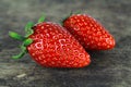 Fresh ripe red strawberry, healthy fruit Royalty Free Stock Photo