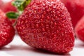 Fresh ripe red strawberry with pure water droplets close up