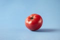 Fresh ripe red tomato on blue background, studio shot, empty space for layout. Healthy vegetarian concept, vegetables and fruits.