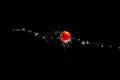 A fresh ripe red tomato with a green leaf flies in the air in water drops isolated on a black background. Concept of food Royalty Free Stock Photo