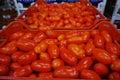 Fresh ripe red tomatoes in boxes in whole sale market Royalty Free Stock Photo