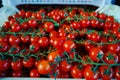 Fresh ripe red tomatoes in boxes in whole sale market Royalty Free Stock Photo