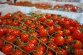 Fresh ripe red tomatoes in boxes in whole sale market Royalty Free Stock Photo