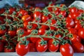 Fresh ripe red tomatoes in boxes in whole sale market Royalty Free Stock Photo