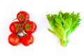 Fresh and ripe red tomatoes on the one brush and leaves of salad frillis Royalty Free Stock Photo