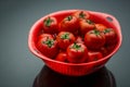 Fresh and ripe red tomatos Royalty Free Stock Photo