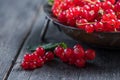 Fresh ripe redcurrant fruit on wooden table Royalty Free Stock Photo