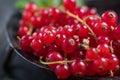 Fresh ripe redcurrant fruit on wooden table Royalty Free Stock Photo