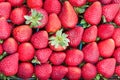 Fresh ripe Strawberries