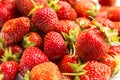 Fresh ripe strawberries are appetising on a white plate