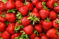 Fresh ripe strawberries, beautiful berry background