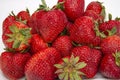 Fresh ripe strawberries Royalty Free Stock Photo