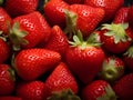 Fresh Ripe Strawberries Royalty Free Stock Photo