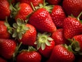 Fresh Ripe Strawberries Royalty Free Stock Photo