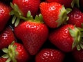 Fresh Ripe Strawberries Royalty Free Stock Photo