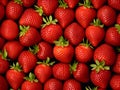 Fresh Ripe Strawberries Royalty Free Stock Photo