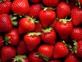 Fresh Ripe Strawberries Royalty Free Stock Photo