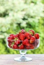 Fresh ripe strawberries in glass bowl Royalty Free Stock Photo